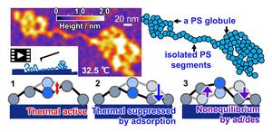 Observations reveal different states among different segments of a single adsorbed polymer