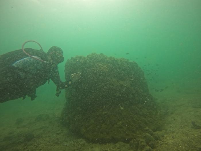 Monitoring Coral Reef Conditions and Community Perspectives Across the Spermonde Archipelago