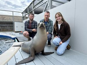Ronan's research team