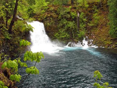 McKenzie River