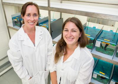 Alison Bell and Laura Stein, Carl R. Woese Institute for Genomic Biology