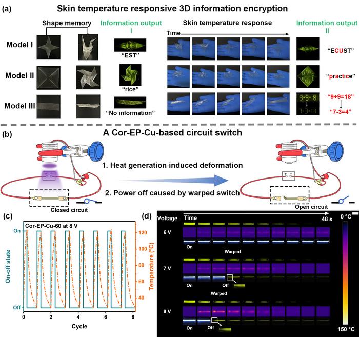 Ultralong phosphorescence visualization of dynamic behavior in 3D information encryption and circuit heat generation.