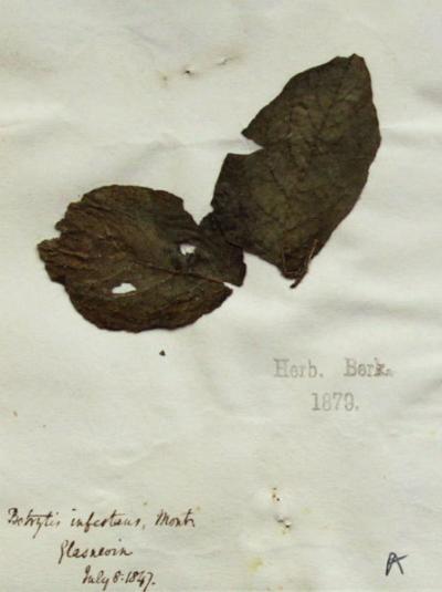 Herbarium