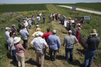 Field Teaching