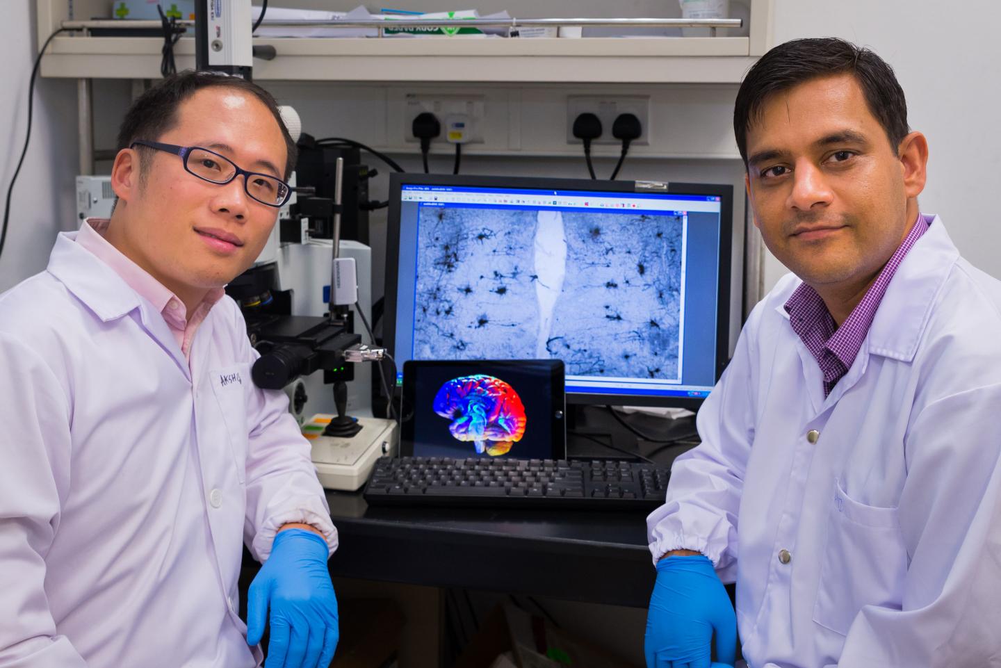 Paving the Way Towards Improved Dementia Treatments