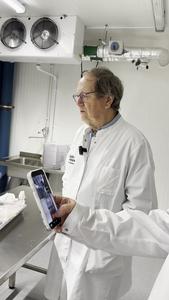 Atlantic herring in the laboratory