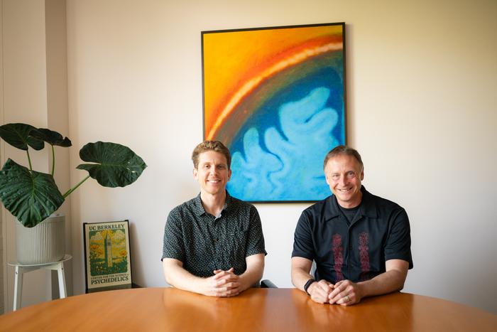 Healthy aging and psychedelics