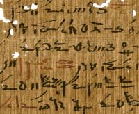 Detail of a medical treatise