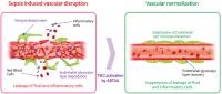 TIE2 Activation by ABTAA