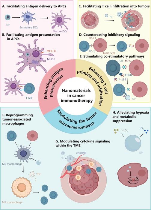 Schematic illustration of nanomaterial-mediated modulation of the cancer immunity cycle.