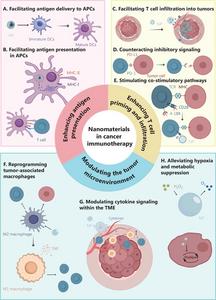 Schematic illustration of nanomaterial-mediated modulation of the cancer immunity cycle.