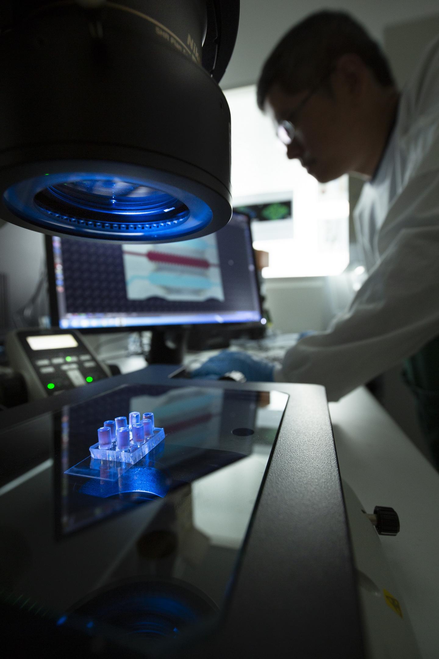 Organ-On-A-Chip