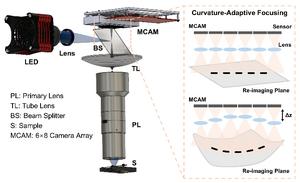 Schematic of microscope
