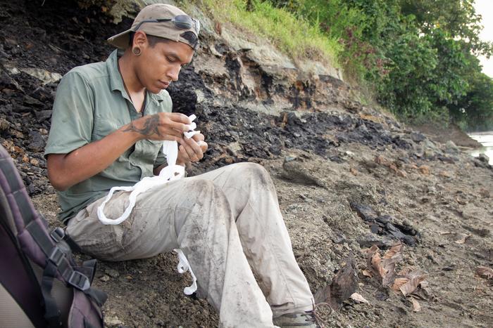 Paleontologist Aldo Benites-Palomino