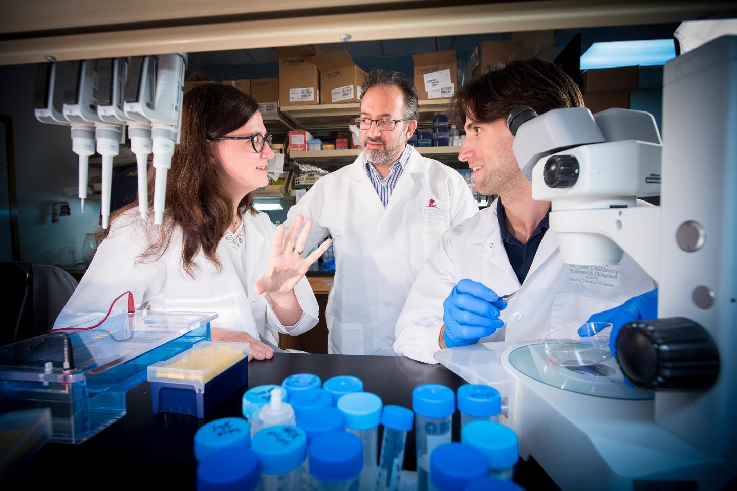 Life-Long Blood Production Depends on Hundreds of Cells that Form Prior to Birth