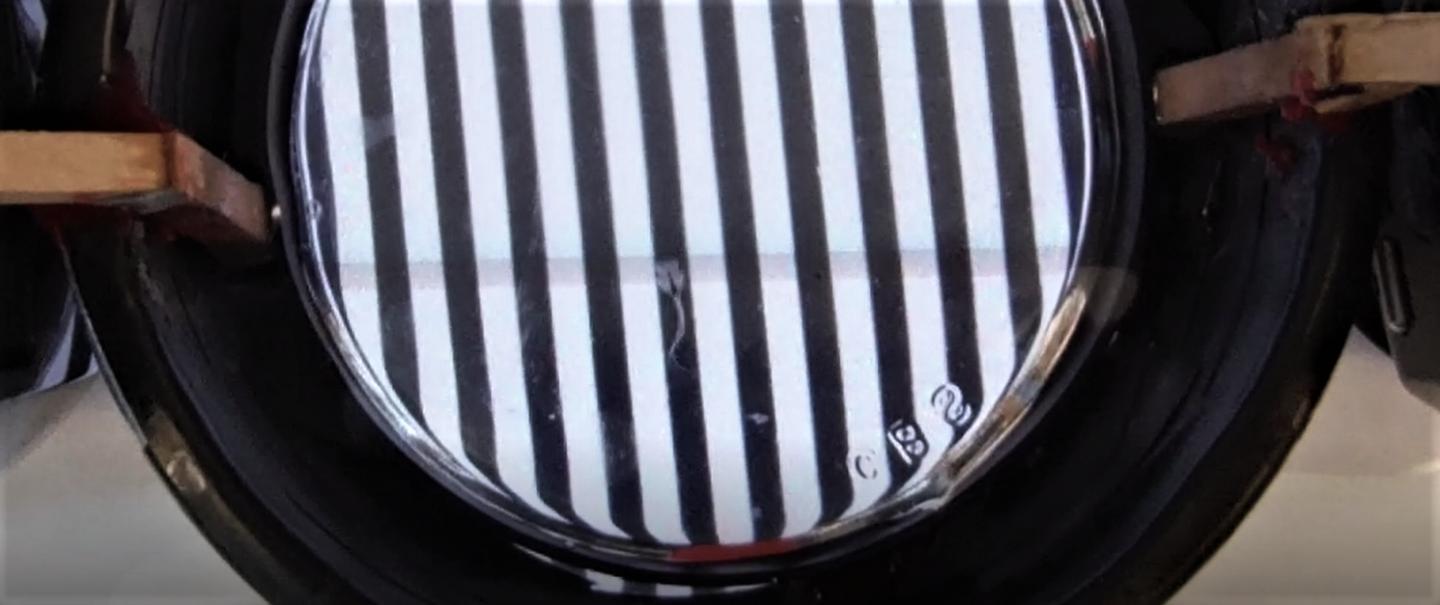 Startled by Stripes