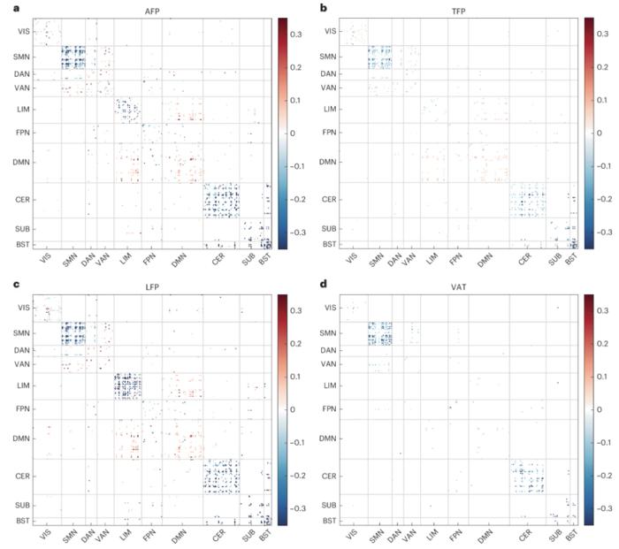 PolyU research reveals fat distribution as key to brain health, with visceral fat accumulation significantly accelerating brain ageing and showing much stronger association than BMI