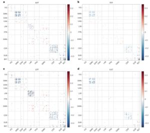 PolyU research reveals fat distribution as key to brain health, with visceral fat accumulation significantly accelerating brain ageing and showing much stronger association than BMI