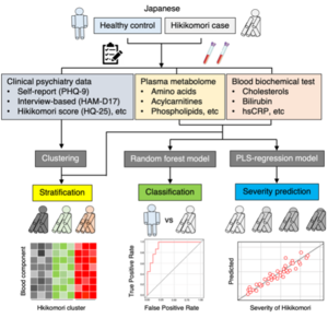 Research overview