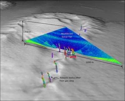 A View of the Multibeam Sonar Water Column Backscatter Data Used to Detect Gas Seeps