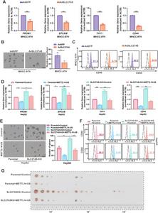 SLC27A5 inhibited HCC stemness by regulating METTL14-APA.