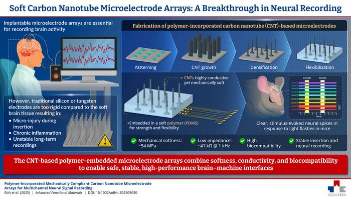 Soft Carbon Nanotube (CNT) Microelectrode Arrays: A Breakthrough in Neural Recording