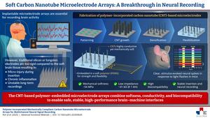 Soft Carbon Nanotube (CNT) Microelectrode Arrays: A Breakthrough in Neural Recording