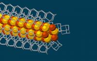 Nanowire Animation