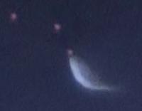 Stickleback attacking a virtual prey.
