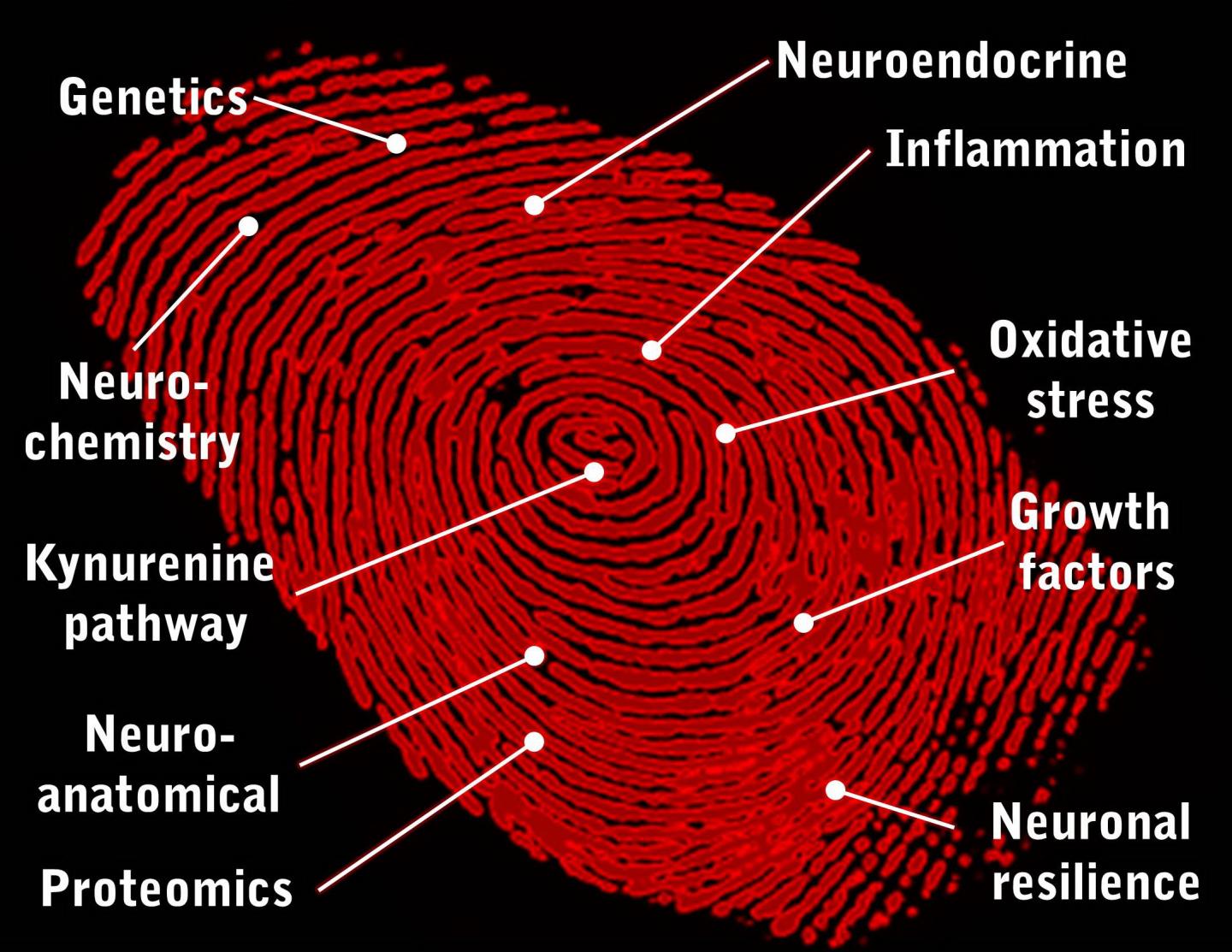 Mind and Molecules -- Fingerprinting Psychiatric Illness
