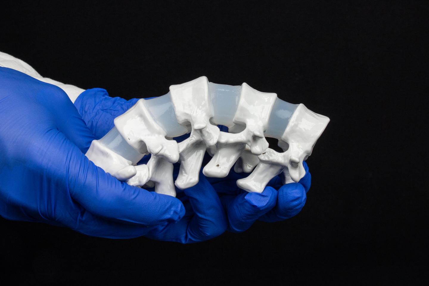 Faster than Ever? Hydrogels Bond to Soft and Hard Surfaces (13 of 19)