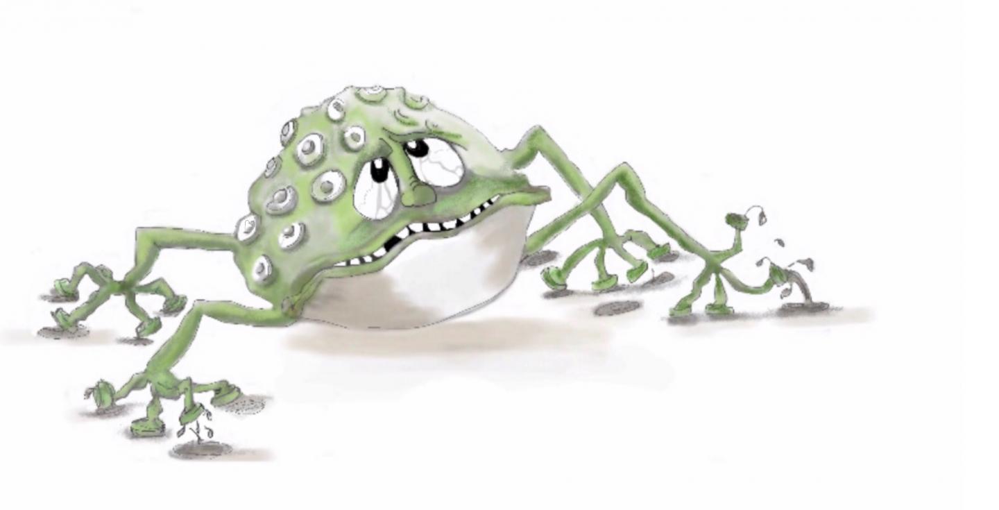 The Worry Wart