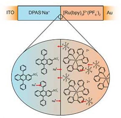 Ionic Junction
