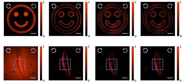 Figure 2 | Imaging characterization of the fabricated spin-multiplexed metasurface differentiators.
