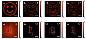 Figure 2 | Imaging characterization of the fabricated spin-multiplexed metasurface differentiators.