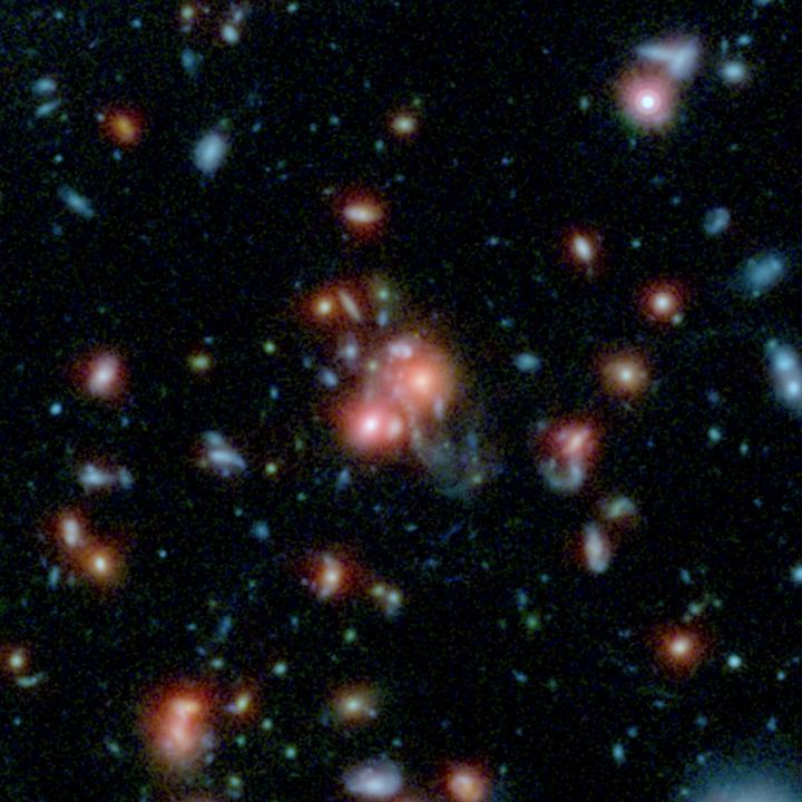 SpARCS1049