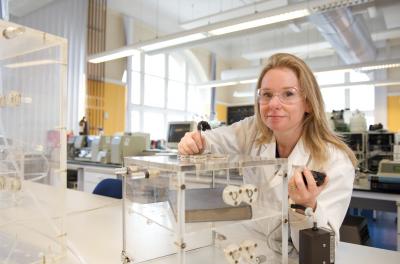 Dr. Lorraine Gibson, University of Strathclyde 