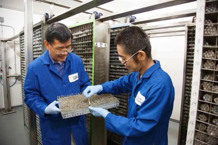 Natural products collection unearths an antimalarial compound