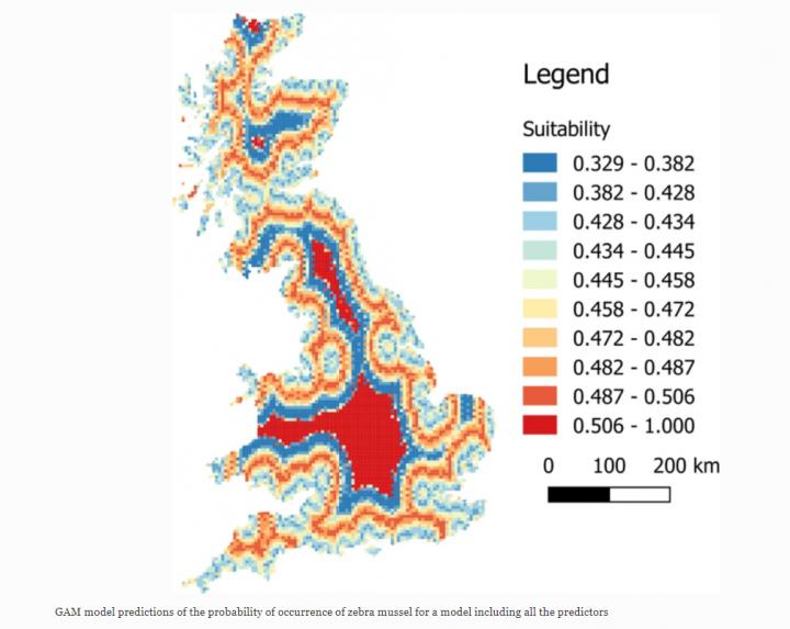 Model Predictions of the Probability of Occurrence of Zebra Mussel