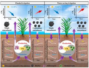 Continuous biochar amendment to achieve long-term CH4 mitigation in paddy fields under water-saving irrigation: a 5-year experiment