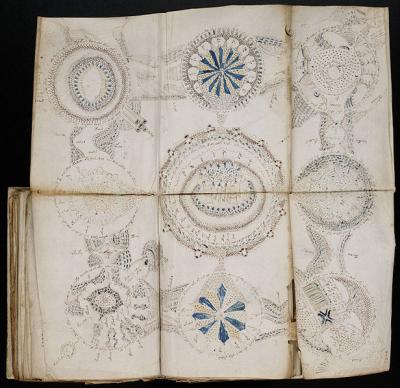 An Illustration from the Voynich Manuscript