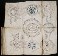 An Illustration from the Voynich Manuscript