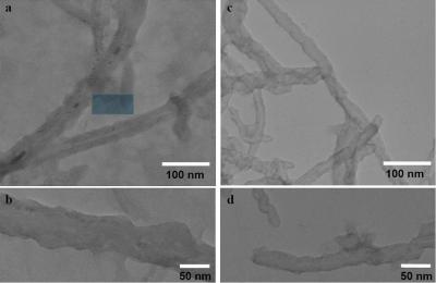 Deactivating Anthrax Toxin With Nanotubes and Light