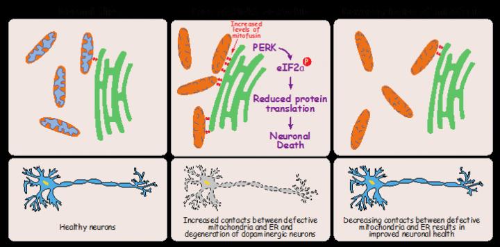 Summary Diagram