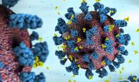 Coronavirus illustration