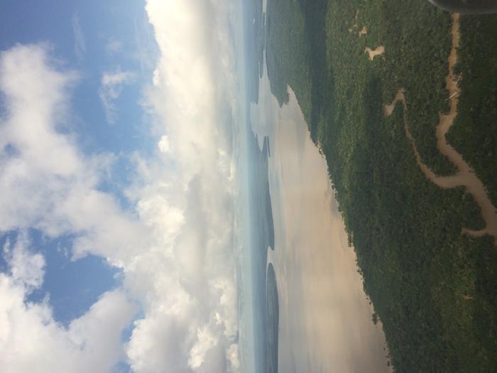Photograph taken in the Amazon