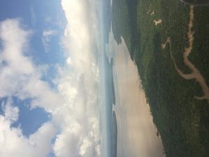 Photograph taken in the Amazon