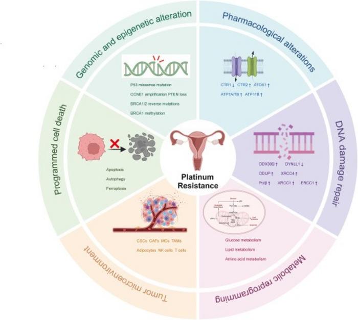 : Schematic representation of the underlying mechanisms of platinum resistance in ovarian cancer.