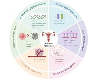 : Schematic representation of the underlying mechanisms of platinum resistance in ovarian cancer.
