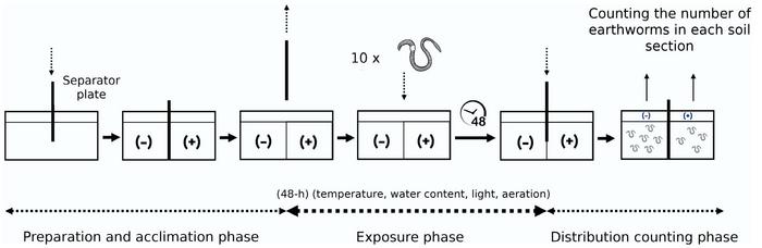 Schematic representation of the avoidance test assessing the effects of copper and glyphosate individually and in combination on earthworms' behavior in the presence and absence of biochar (0% and 1%).